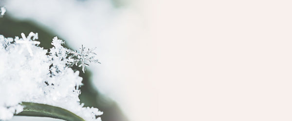 Como o inverno afeta a cola para cílios
