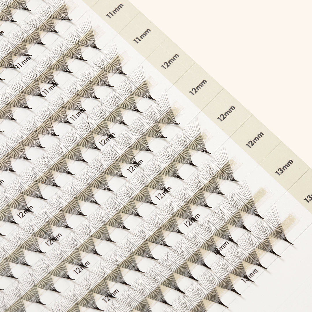 Pestanas Pré-feitas Estreitas Mayfair 16D 0.03 500 leques - Comprimentos Mistos