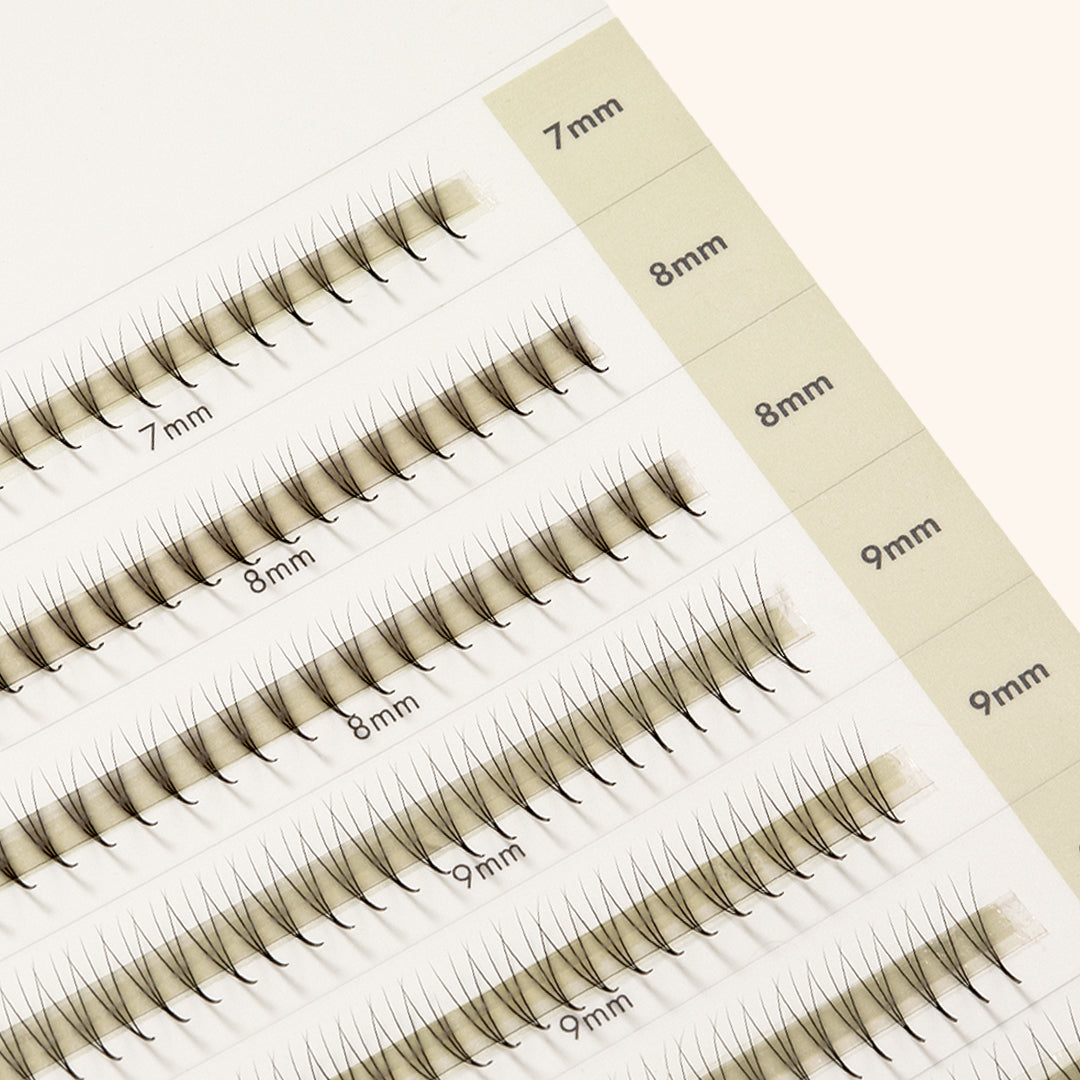 Pestanas Pré-feitas Estreitas Mayfair 3D 0.07 1000 leques - Comprimentos Mistos