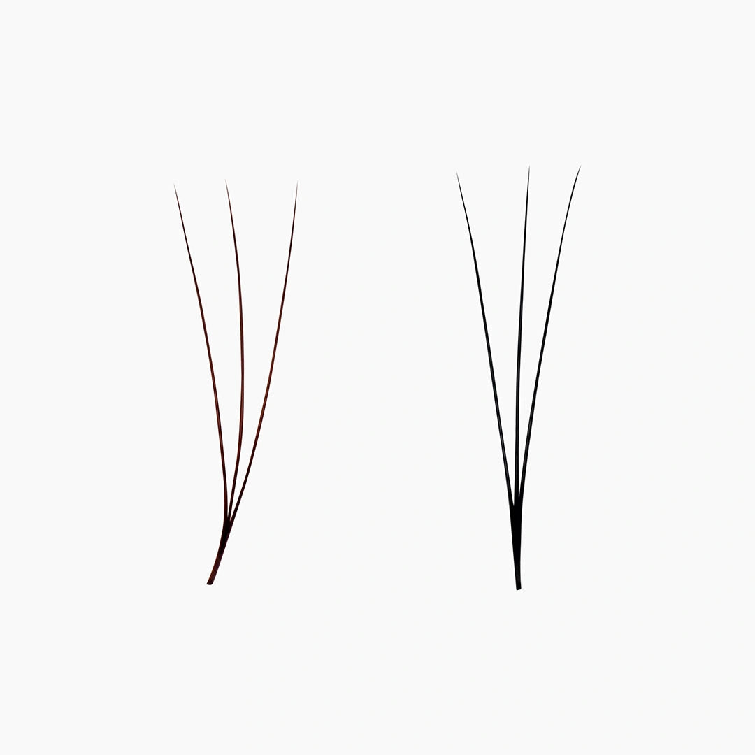 Leques pré-fabricados estreitos BROWN 3D 0,07 - 1000 unidades - Comprimentos variados