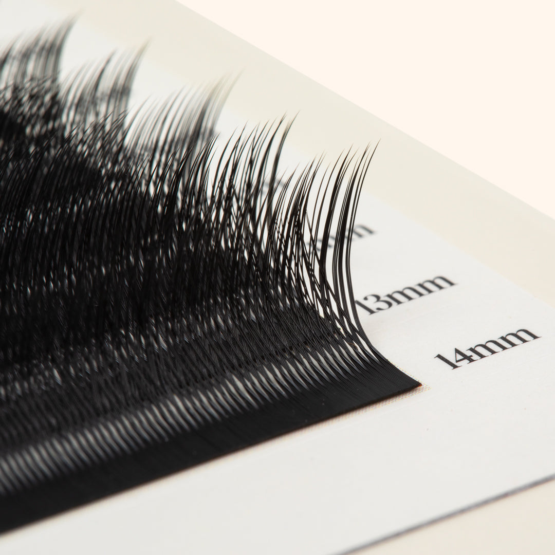 Pestanas de gatinho - Preto