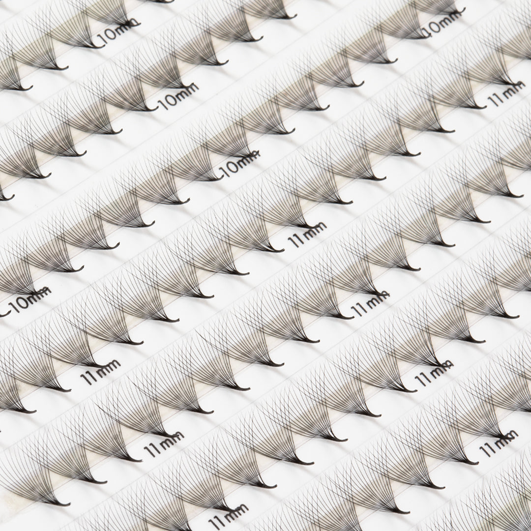 Pestanas Pré-feitas Estreitas Mayfair 16D 0.03 500 leques - Comprimentos Mistos